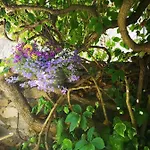 Au Clos Des Anges 4* Saint-Jean-de-Maruéjols-et-Avéjan