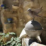 Oda ve Kahvaltı Au Clos Des Anges Saint-Jean-de-Maruéjols-et-Avéjan