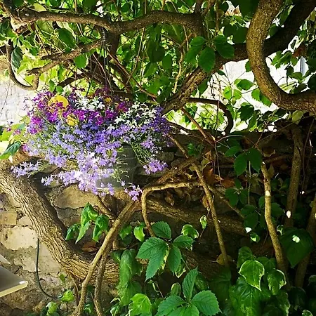 Au Clos Des Anges Frühstückspension